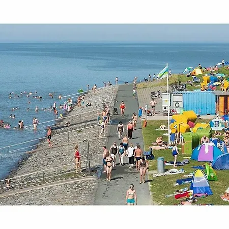 Seeliebe Тоссенс